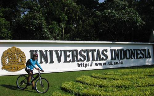 Mahasiswa UI Berhasil Ciptakan Software Donasi Via Pulsa
