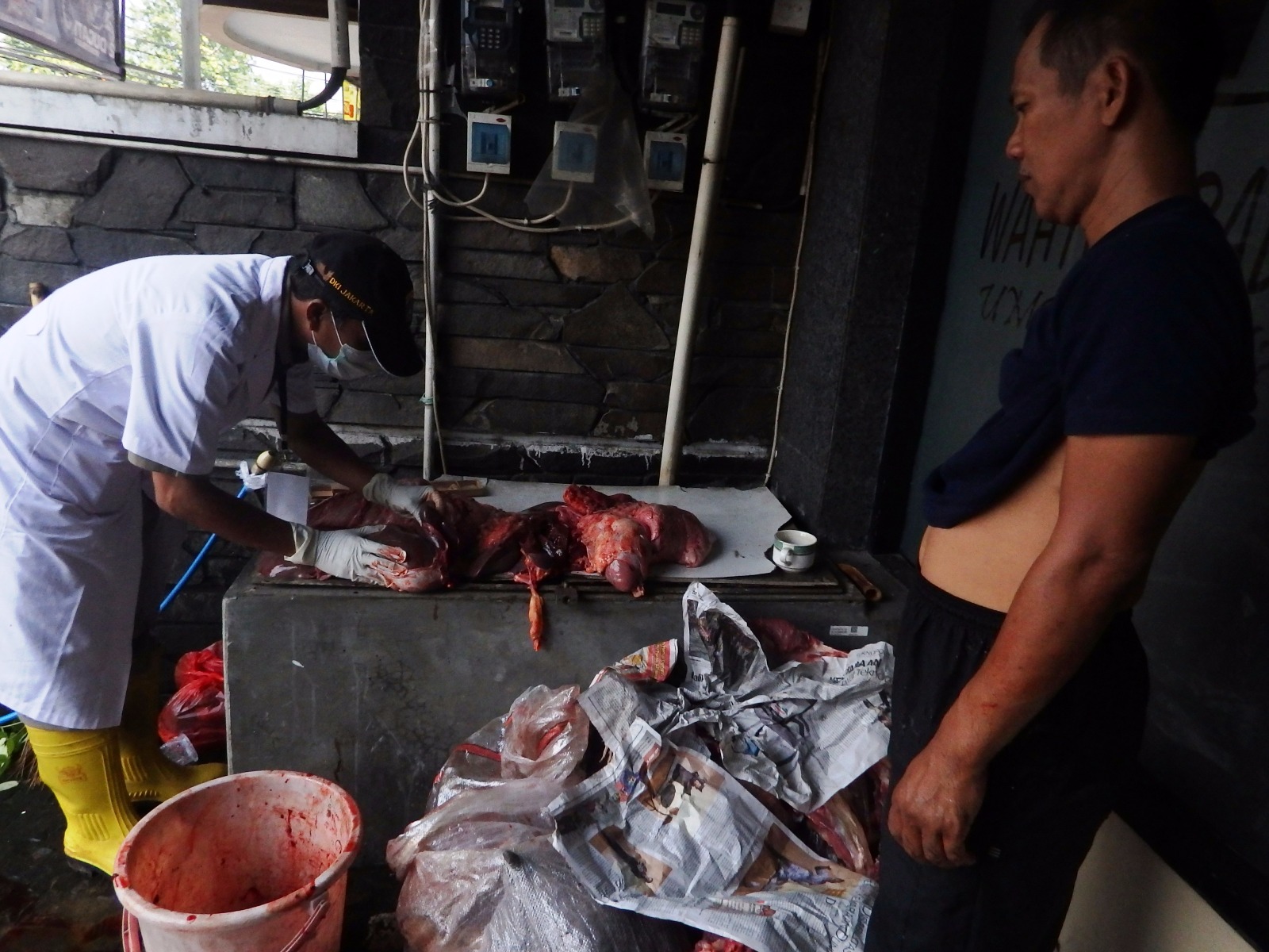pemeriksaan kesehatan daging