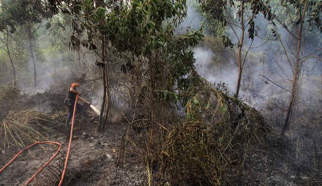 ICMI Apresiasi Upaya Menteri Siti Nurbaya Atasi Kabut Asap