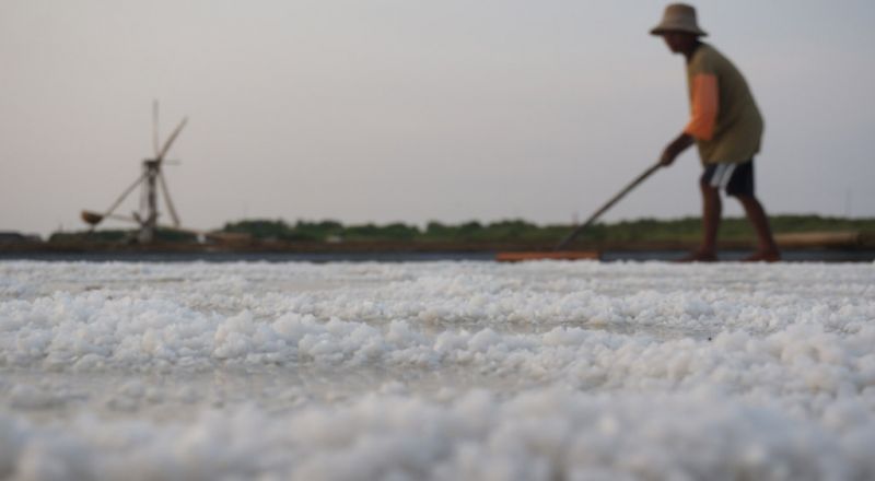 Soal Impor Garam, ICMI: Penyebabnya Tiga Faktor